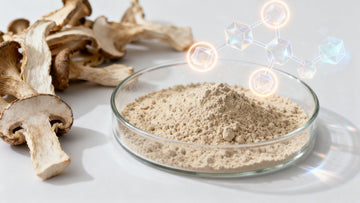 What are acylated alpha glucans and why does acylation matter?